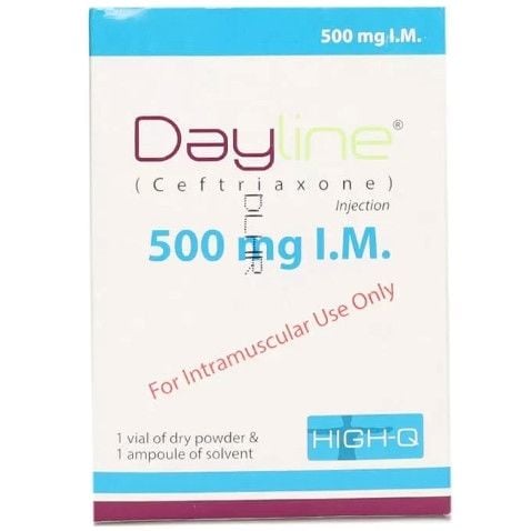 Dayline 500mg Im Injection