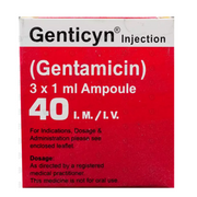 Genticyn 40mg Im/Iv Injection (3s)