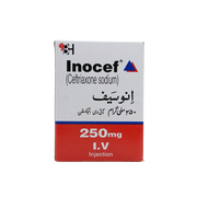 Inocef 250mg Iv  Inj
