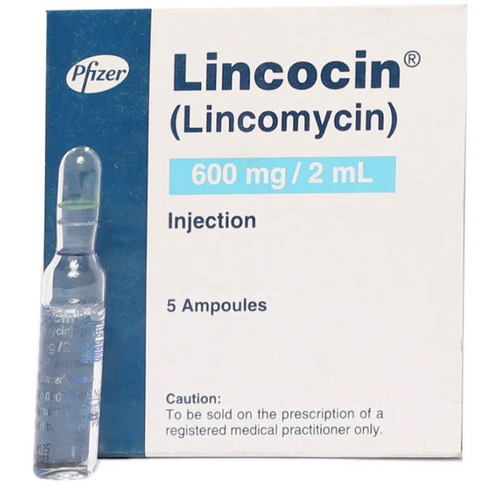 Lincocin Inj 600mg 2ml
