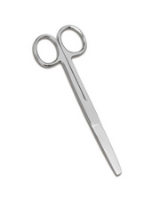 Scissor 6 Inch