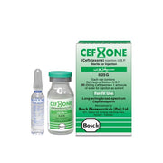 Cefxone 0.25g Iv Inj