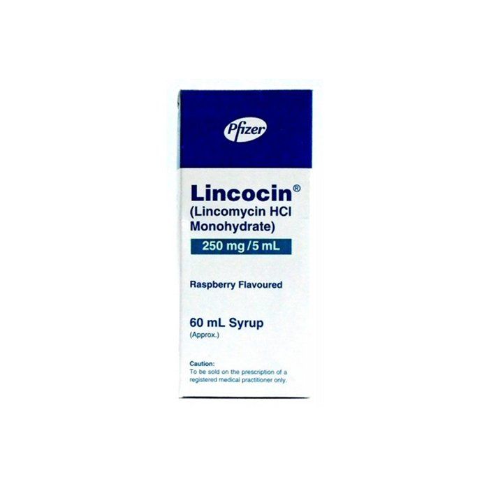 Lincocin 60ml